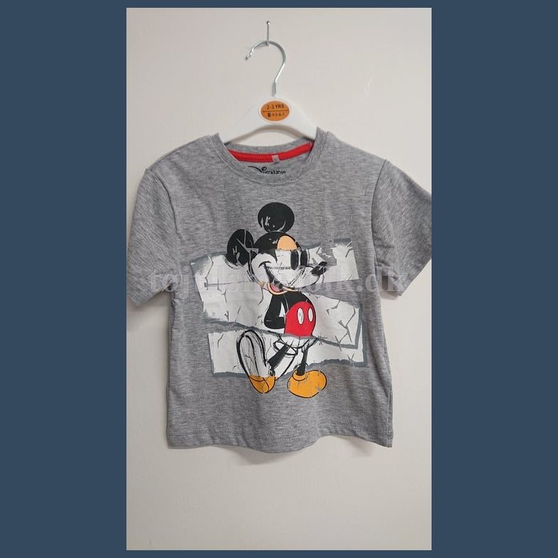 Mickey mouse t-shirts